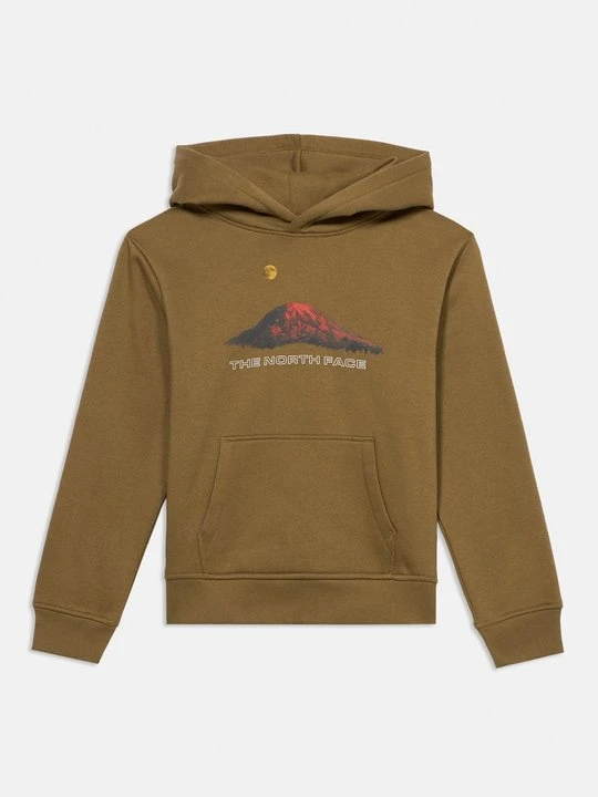 Obrázek produktu Mikina s kapucí The North Face světle hnědošedá