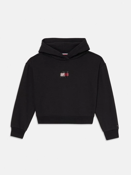 Obrázek produktu Mikina s kapucí Tommy Hilfiger