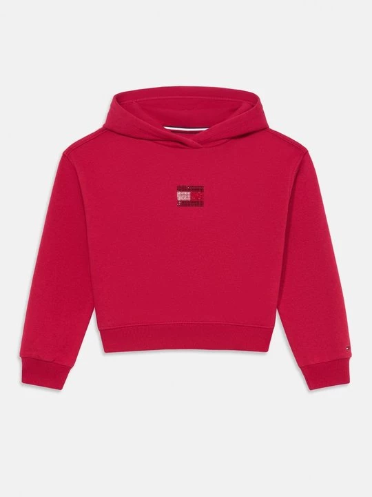 Obrázek produktu Mikina s kapucí Tommy Hilfiger červená