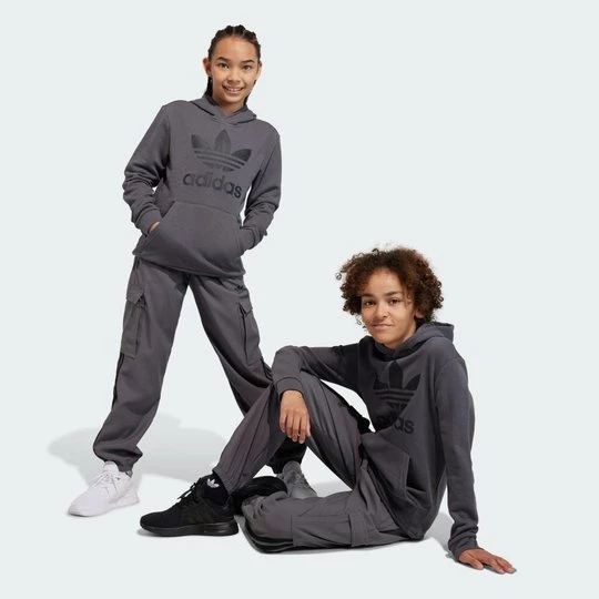 Obrázek produktu Mikina Trefoil Adidas Grey Five