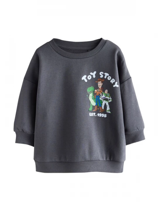 Obrázek produktu Next Mikina 'Toy Story' hnědá / antracitová / zelená / bílá
