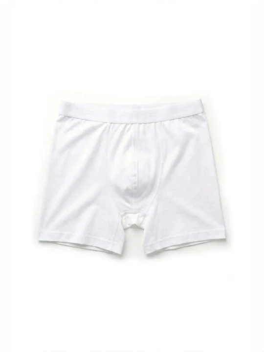 Obrázek produktu ÖTS Boxerky 'ÖTS Herren Boxerbriefs' bílá