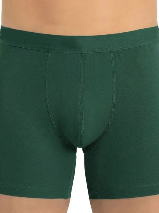 Obrázek produktu ÖTS Boxerky 'ÖTS Herren Boxerbriefs' tmavě zelená