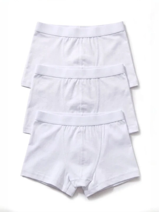 Obrázek produktu ÖTS Spodní prádlo 'ÖTS Herren Boxerbriefs' bílá