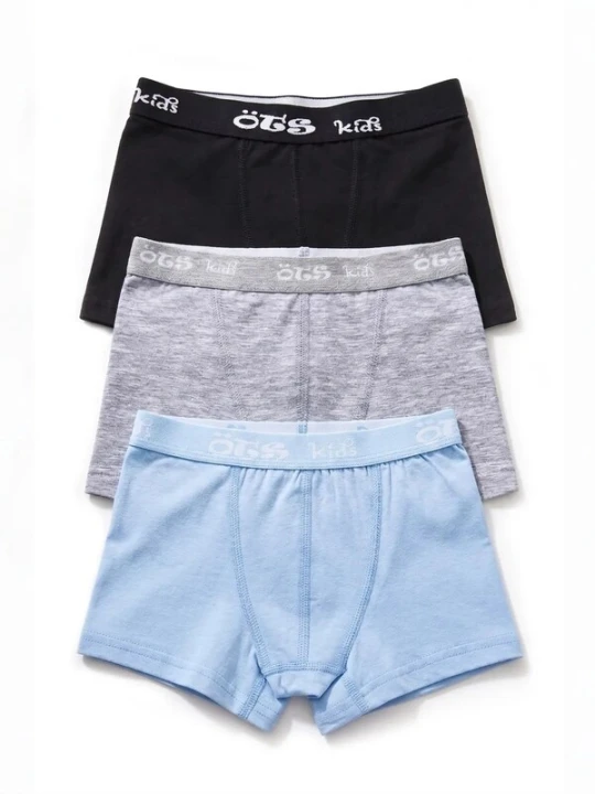 Obrázek produktu ÖTS Spodní prádlo 'ÖTS Herren Boxerbriefs' mix barev