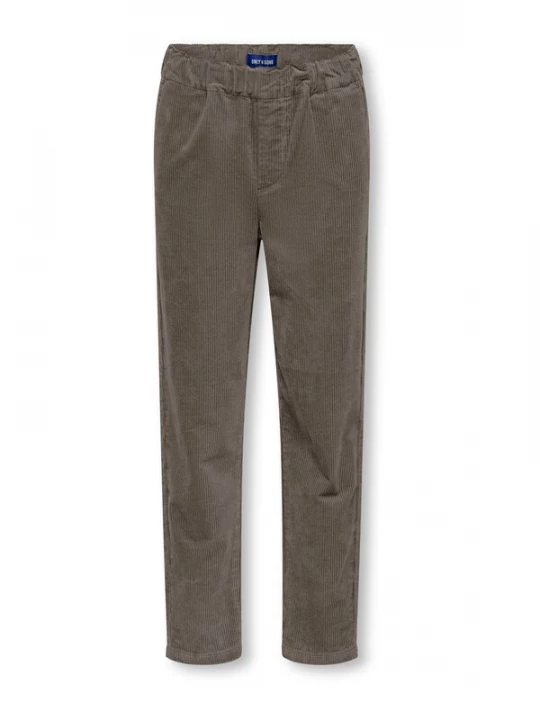 Obrázek produktu Only & Sons Junior Kalhoty 'OSJLINUS ALARIC' hnědá