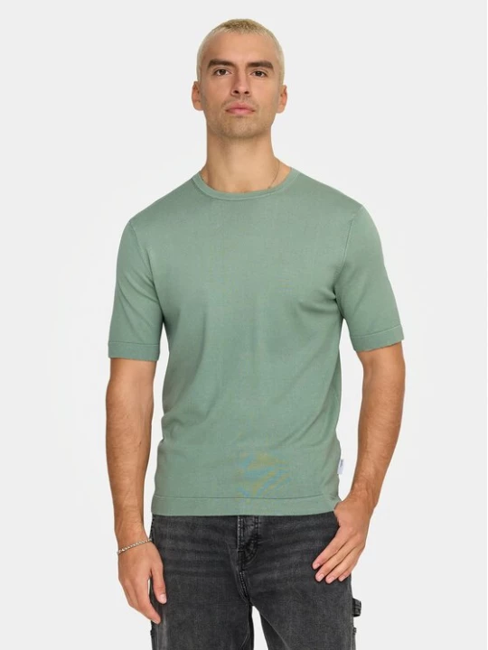 Obrázek produktu Only & Sons T-Shirt Wyler 22022928 Zelená Regular Fit