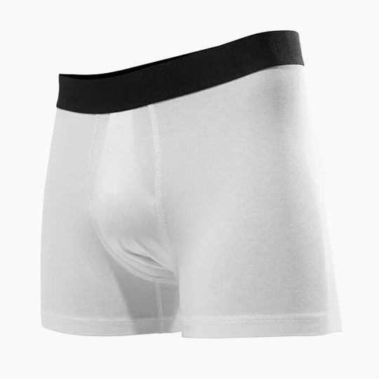 Obrázek produktu Pánské boxerky Stance Standard 4IN white
