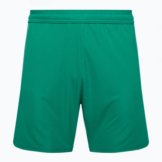 Obrázek produktu Pánské fotbalové šortky Capelli Sport Cs One Adult Match green / white
