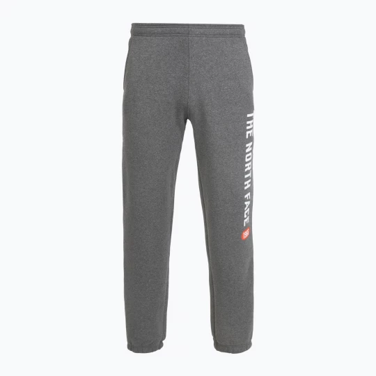 Obrázek produktu Pánské kalhoty The North Face Varsity Graphic medium grey heather