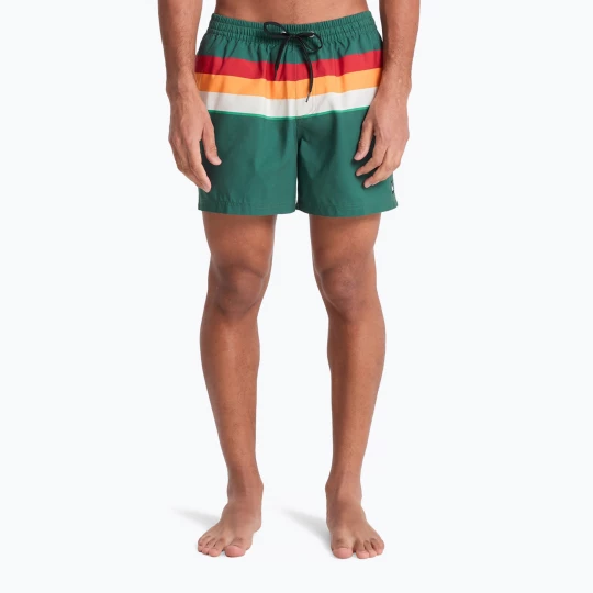 Obrázek produktu Pánské koupací šortky Quiksilver Everyday Printed Volley 15" forest outside stripe Zelená