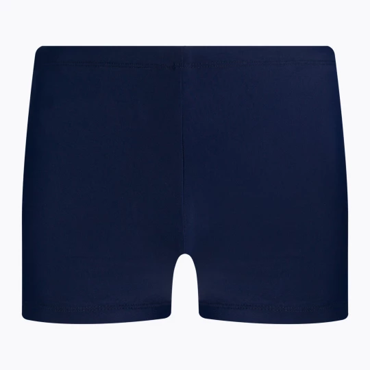 Obrázek produktu Pánské plavecké boxerky Nike Reflect Logo Square Leg modré NESSC583440 Námořnická modř