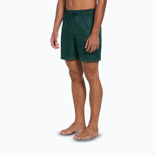 Obrázek produktu Pánské plavecké šortky Nike Swim Breaker 7" Volley fir Zelená