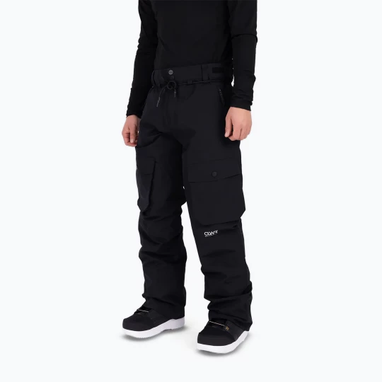 Obrázek produktu Pánské snowboardové kalhoty Colourwear Flight black