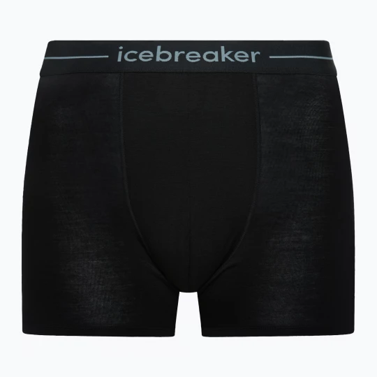 Obrázek produktu Pánské termo boxerky Icebreaker Anatomica black
