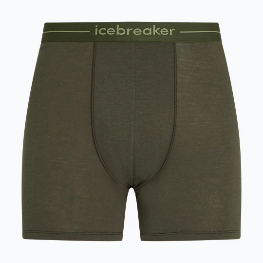 Obrázek produktu Pánské termo boxerky icebreaker Anatomica dark loden Zelená