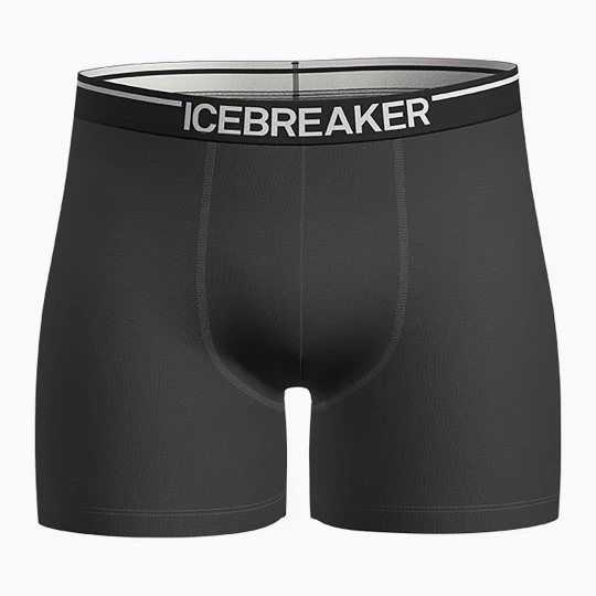 Obrázek produktu Pánské termo boxerky Icebreaker Anatomica plume jet heather šedá