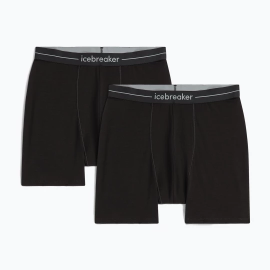 Obrázek produktu Pánské termo boxerky Icebreaker Merino 150 Anatomica Boxers 2 pairs black