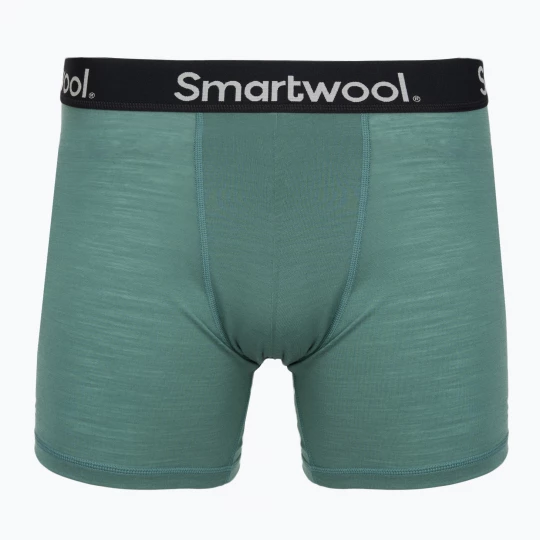Obrázek produktu Pánské termo boxerky Smartwool Everyday Merino Boxer Brief Boxed black dusty teal Zelená