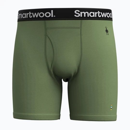 Obrázek produktu Pánské termo boxerky Smartwool Merino Boxer Boxed fern green