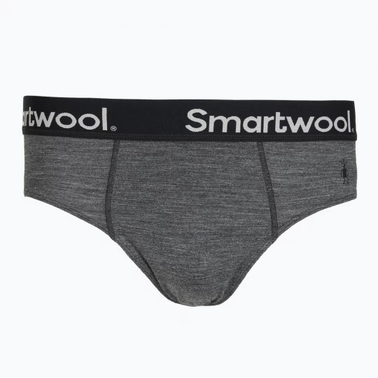 Obrázek produktu Pánské termo spodky Smartwool Active Brief medium gray heather šedá