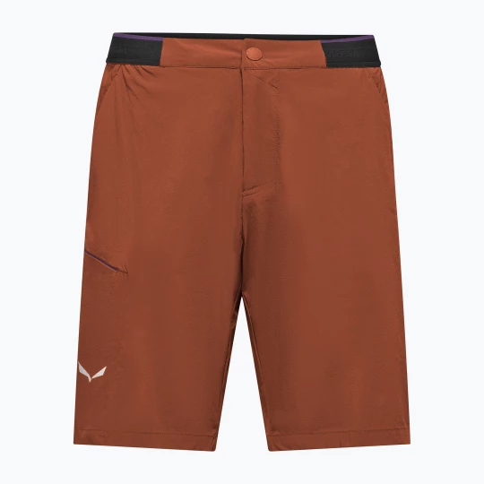 Obrázek produktu Pánské trekingové šortky Salewa Pedroc 4 DST Cargo bombay brown / 0910