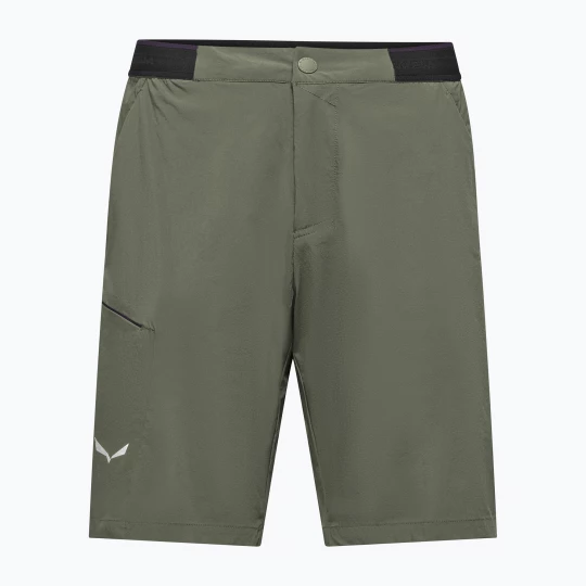 Obrázek produktu Pánské trekingové šortky Salewa Pedroc 4 DST Cargo faded green
