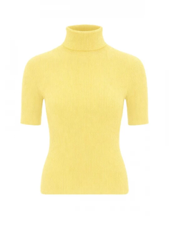 Obrázek produktu PANTHEROAR Svetr 'High Neck Short Sleeve Top' světle žlutá