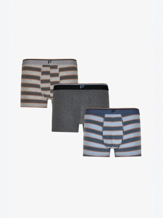 Obrázek produktu Penti Boxerky 'PENTI Herren-Boxershorts mit Kontraststreifen' mix barev