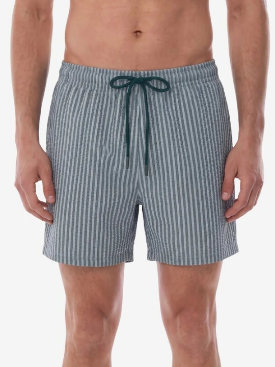 Obrázek produktu Penti Plavecké šortky 'PENTI Herren Tissue-gestreifte Shorts' šedá