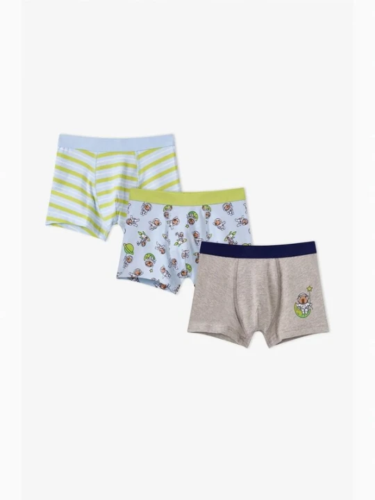Obrázek produktu Penti Spodní prádlo 'PENTI Jungen Boxershorts Capybaras Space' mix barev