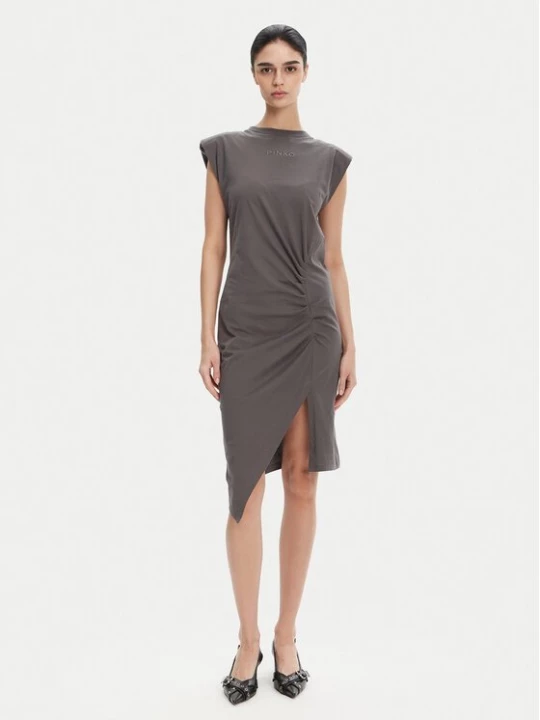 Obrázek produktu PINKO Každodenní šaty 104614 A2HE Šedá Regular Fit