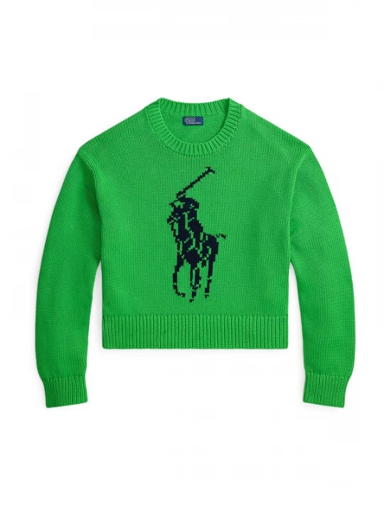 Obrázek produktu Polo Ralph Lauren Svetr námořnická modř / zelená
