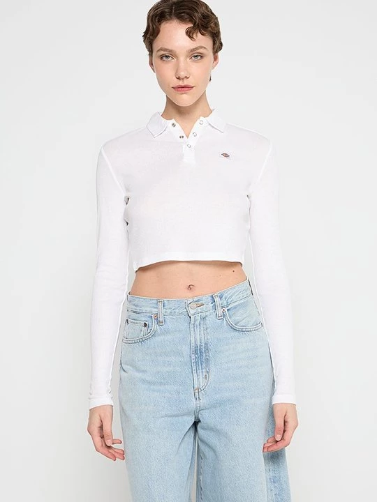Obrázek produktu Polotričko Dickies