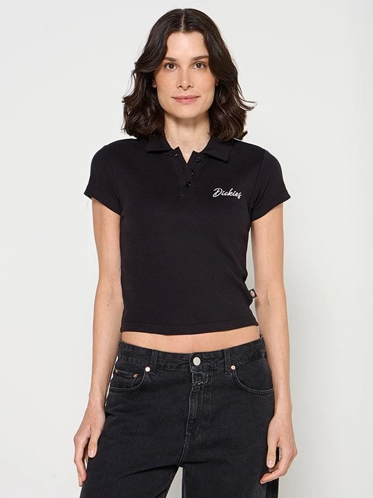 Obrázek produktu Polotričko Dickies černá
