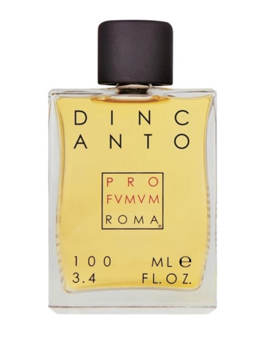 Obrázek produktu Profvmvm Roma Dincanto Eau de Parfum 100 ml