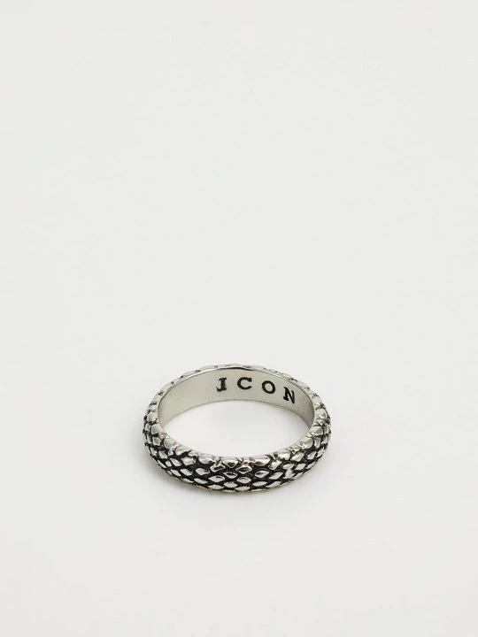 Obrázek produktu Prsten Icon Brand stříbrná barva