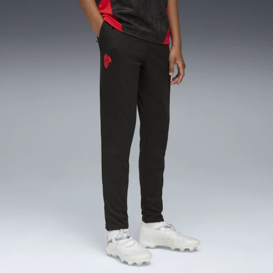 Obrázek produktu PUMA AC Milan Training Pants Youth, Clothing, Black/Red