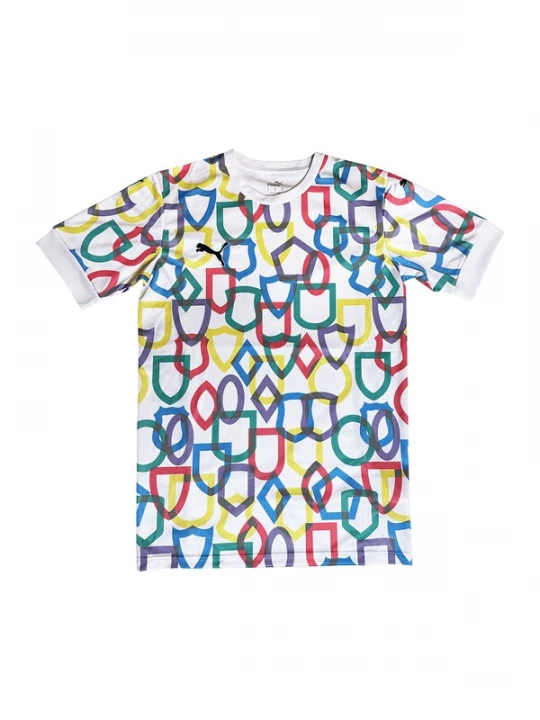 Obrázek produktu PUMA Funkční tričko modrá / zelená / červená / bílá