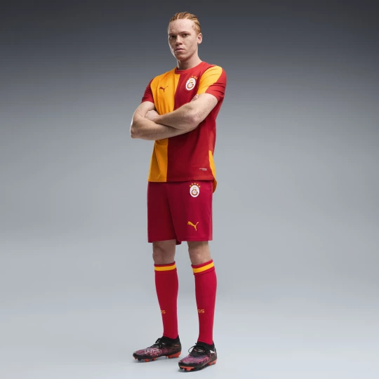 Obrázek produktu PUMA Galatasaray S.K. 26 / 27 Shorts Men, Men, Flat Dark Gray / Plum Wine