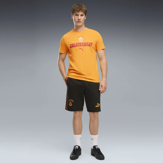 Obrázek produktu PUMA Galatasaray .K. KING Shorts Men, Clothing, Black/Summer Sunset