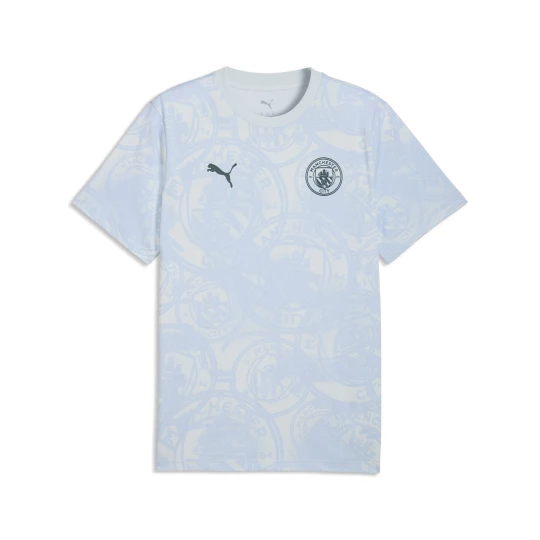 Obrázek produktu PUMA Manchester City ftblCulture Printed Tee Men, Football, Sea Glass/Tropical Blue