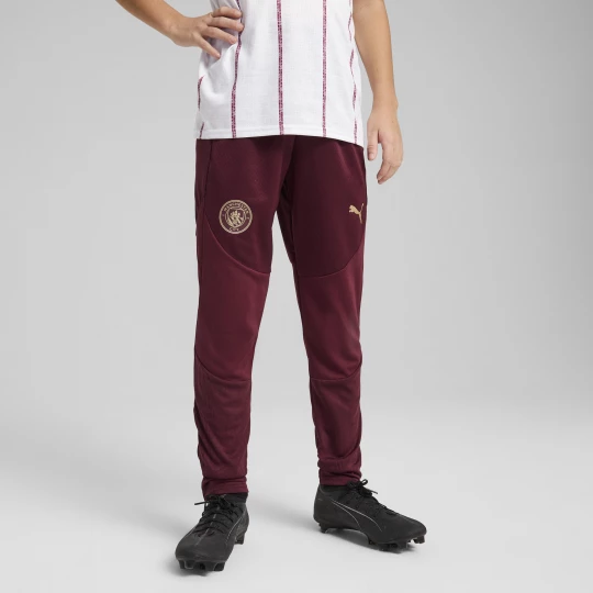 Obrázek produktu PUMA Manchester City Training Pants Youth, Clothing, Dark Jasper