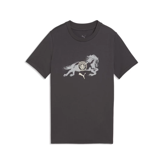 Obrázek produktu PUMA Manchester City x Year of the Horse Tee Youth, Football, Flat Dark Gray/Gray Echo