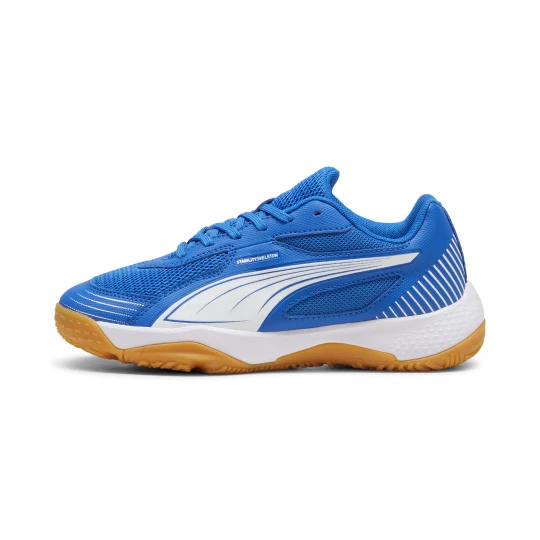 Obrázek produktu PUMA Solarflash III Indoor Sports Shoes Youth, Shoes, Royal/White
