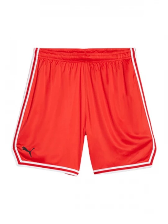Obrázek produktu PUMA Sportovní kalhoty  červená / černá / bílá