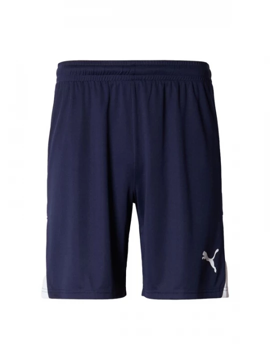 Obrázek produktu PUMA Sportovní kalhoty 'TeamLIGA26' námořnická modř / bílá