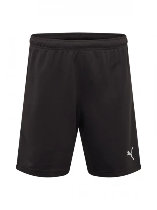 Obrázek produktu PUMA Sportovní kalhoty 'TeamRise'  černá / bílá