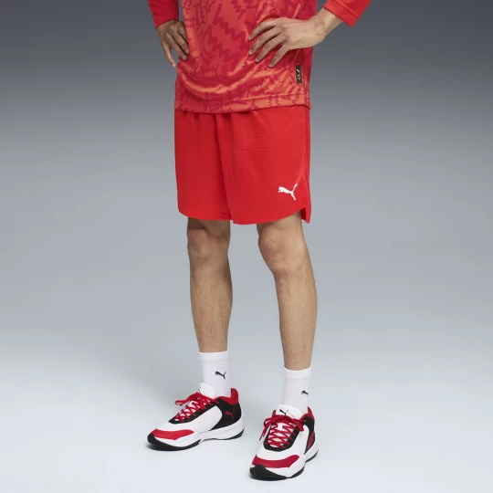 Obrázek produktu PUMA teamJAWS Practice Basketball Shorts Men, Clothing, Red