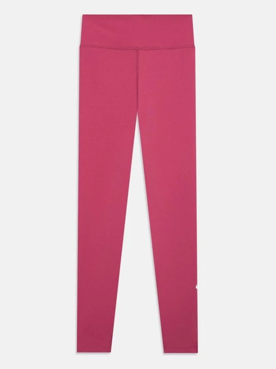 Obrázek produktu Legíny Nike